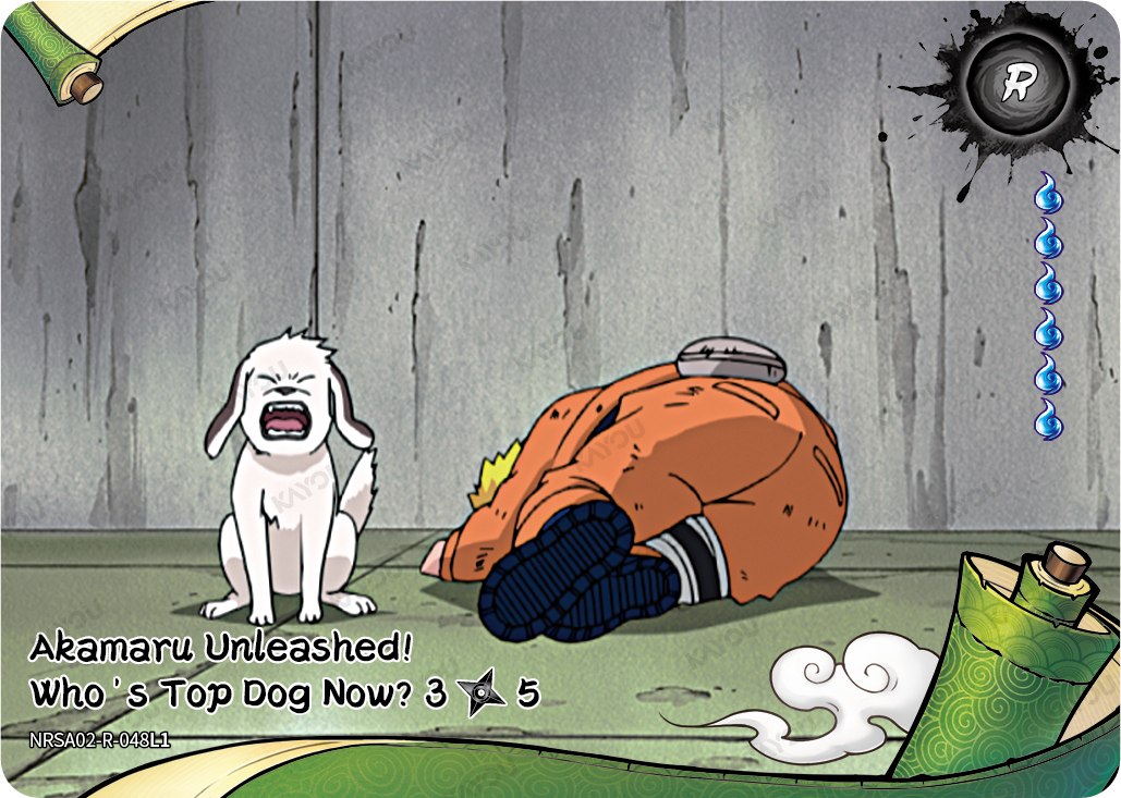 Akamaru Unleashed! Who's Top Dog Now?
3/5
