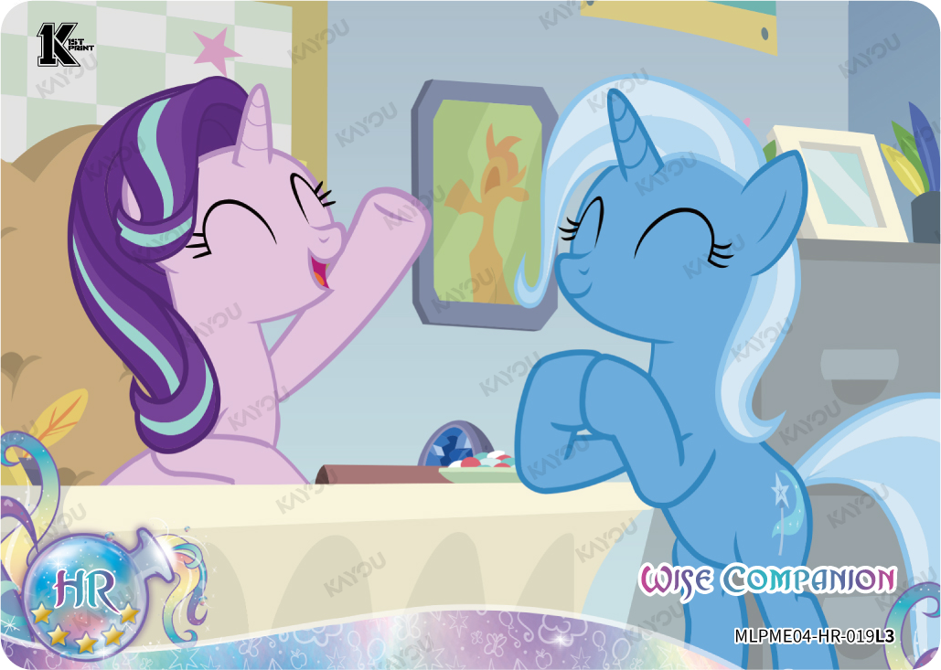 Wise Companion