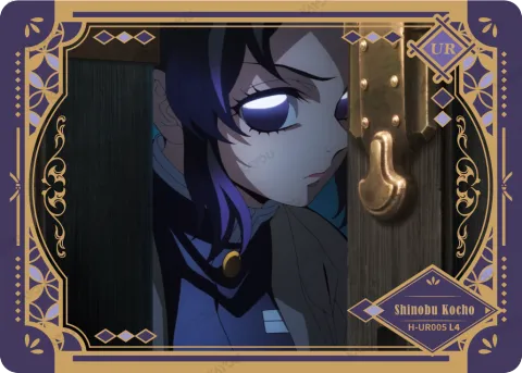 Shinobu Kocho